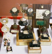 Various Youth trophies